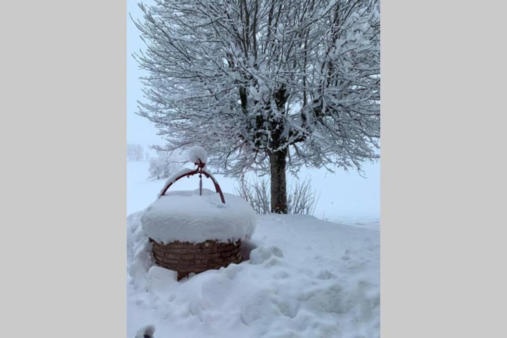 レ・ルスT2 Tout Confort, Depart Ski De Fond Depuis Le Jardinアパートメント エクステリア 写真