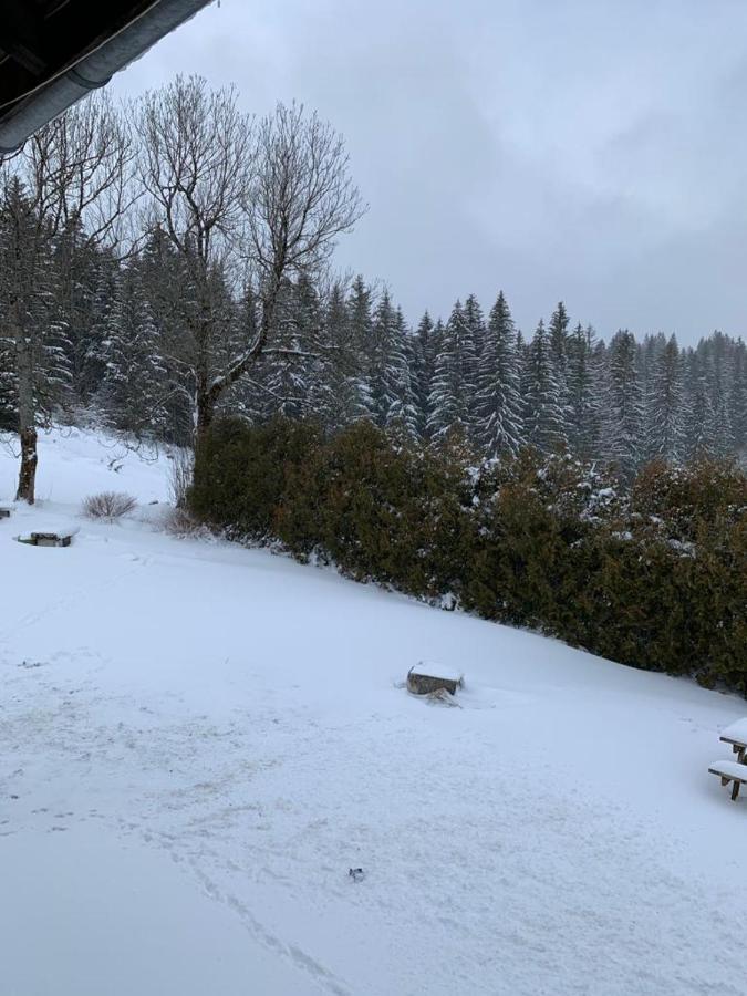 レ・ルスT2 Tout Confort, Depart Ski De Fond Depuis Le Jardinアパートメント エクステリア 写真